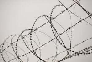 barbed-wire-833153_1280